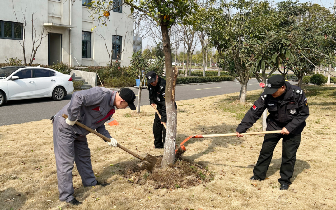 鑫连鑫物业丨植树节，与绿相伴，美好同行！