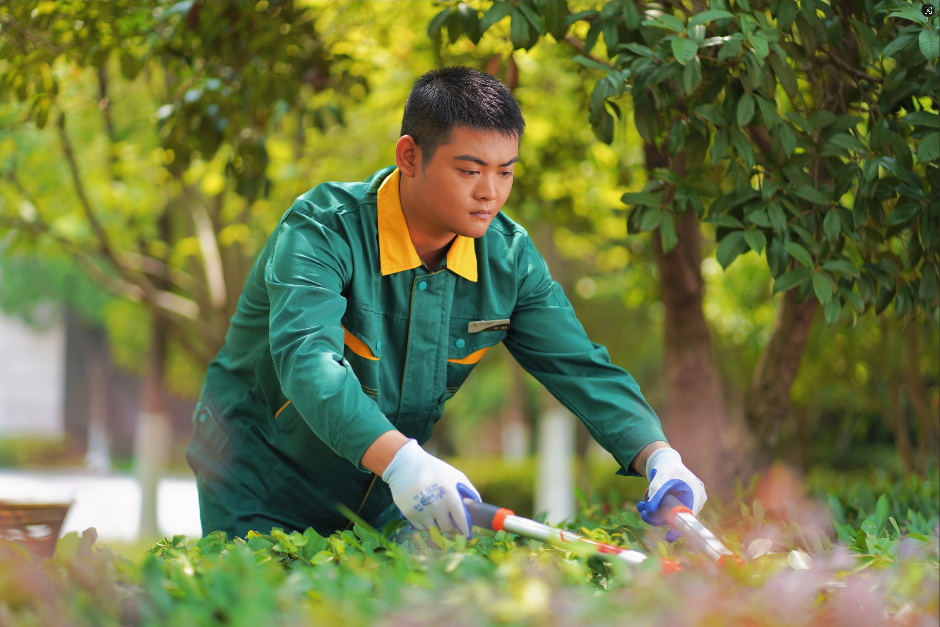 1748333669147130.png image.png