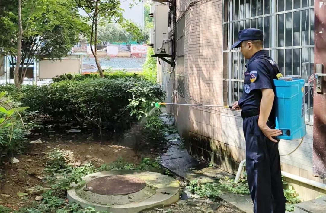 鑫连鑫物业硬核出击，灭蚊防蚊大行动守护夏日安康！